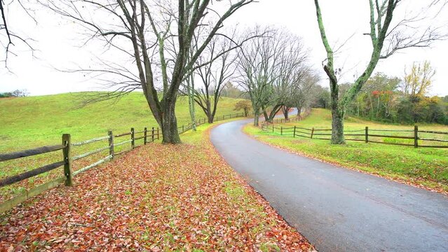 Rural countryside winding paved road to Ash Lawn-Highland, home of US President James Monroe in Albemarle County, Virginia in colorful autumn fall season with fallen brown leaves and green grass