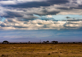 Obraz premium Mt Kilimanjaro poking through the clouds, above the Amboseli National Park in Kenya Africa