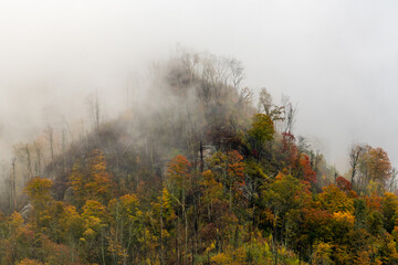 Fog Engulfs The Colorful Chimney Tops