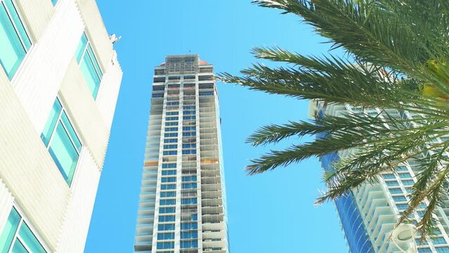Looking up low angle view on skyscrapers highrise buildings towers for condo apartment condominium under real estate development construction in Sunny Isles Miami Beach, Florida with palm tree branch