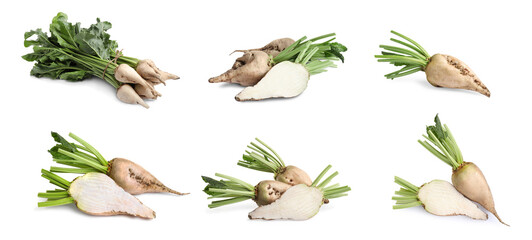 Set with whole and cut sugar beets on white background. Banner design