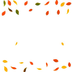 Falling autumn leaves. Red, yellow, green, brown r