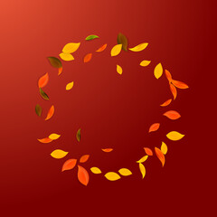 Falling autumn leaves. Red, yellow, green, brown c