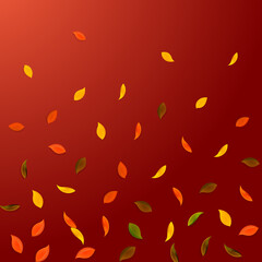 Falling autumn leaves. Red, yellow, green, brown r