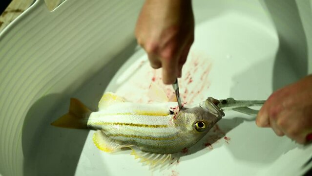 Gutting a fish. Gut a tropical fish from the ocean in asia