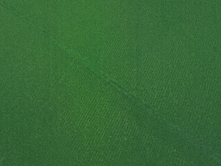 green leather texture