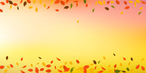 Falling autumn leaves. Red, yellow, green, brown c