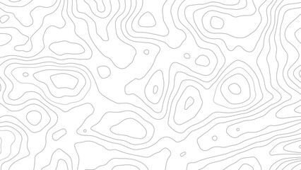 Abstract Contour Topographic Map Pattern