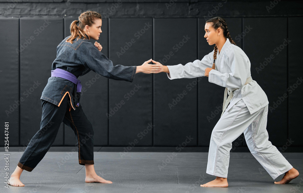 Poster Karate training, handshake and exercise of female sport students about to start training. Student fitness and gym workout of women learning how to fight at a dojo studio, school and sports club