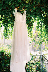 White wedding dress hangs on a wooden hanger on a tree among green foliage