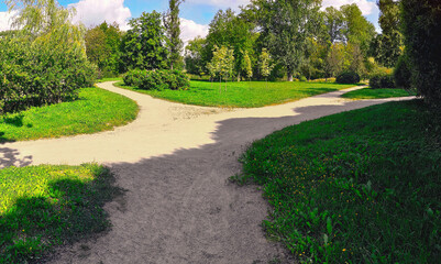 Hiking trails intersect and diverge in the park in different directions among the green grass and trees on a summer day in bright sunny weather.
