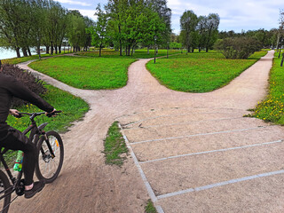 Path selection. The road in the park is divided into three different directions among grass, trees and flowers.