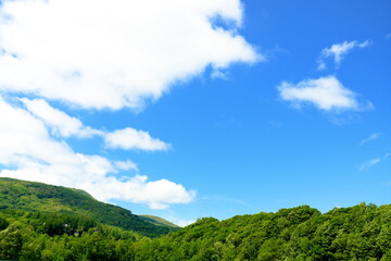Fototapeta na wymiar 美しい北海道の山々