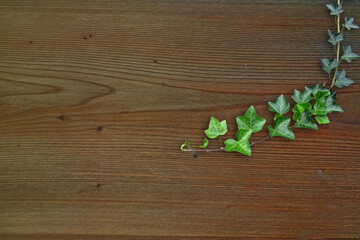 木目背景とグリーン