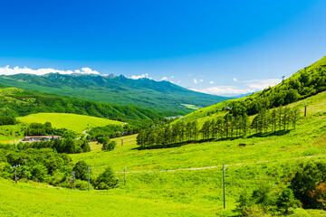 Obraz premium 長野県 車山高原