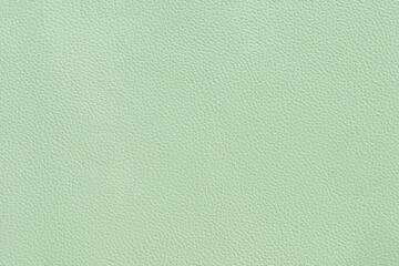 Genuine leather texture background. Green canvas texture background.