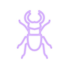 beetle neon icon