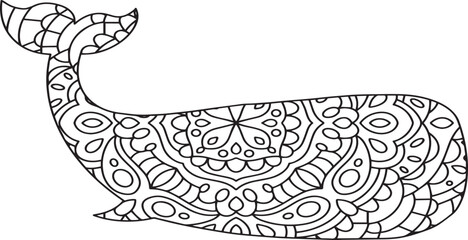 hand drawn illustration of an whale