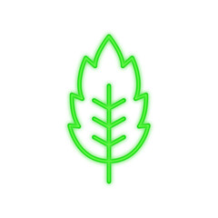 leaf neon icon
