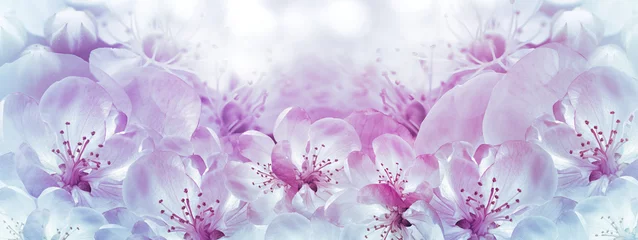 Fotobehang Floral paarse lente achtergrond. Bloemblaadjes bloemen. Detailopname. Natuur. © nadezhda F
