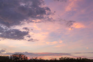 Fototapeta na wymiar Dramatic pink and purple sunset on Woodlawn Lake San Antonio Texas 