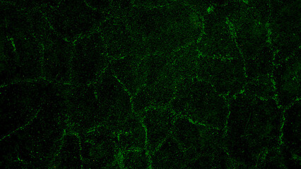 Beautiful Abstract Decorative Background. Art Stylized Colorful Texture Effect. glitter green lights background. dark green and black. de-focused