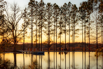 Das Peach Haus vineyard trees golden sunset reflection at Fredericksburg Texas Hill Country