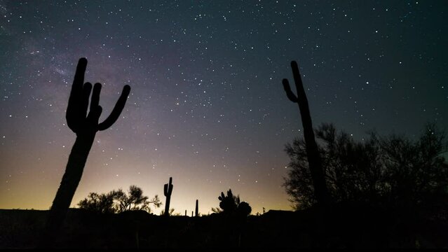 Silhouette of cactus, timelapse of stars and Milkyway in desert in Arizona