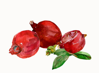 Pattern of pomegranates.Watercolor.Image on white and colored background.