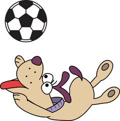 犬とサッカーボール
