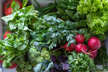 Fresh vegetables at the fridge
