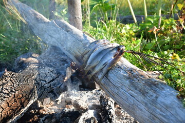 ВКО, Белуха, Рахман, Казахстан
