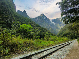 Fototapeta premium Tracks of a train in the middle of a jungle and mountains, on the way to the citadel of Machu Picchu, Cusco - Peru.