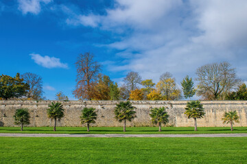 Fototapeta na wymiar autumn trees in front of a stone wall