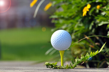 golf ball 
