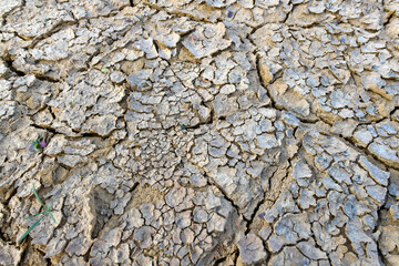 ausgetrockneter Boden mit Trockenrissen