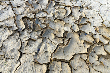 Dried out soil with drying cracks // ausgetrocknter Boden mit Trockenrissen