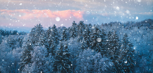 Verschneite Winterlandschaft- Laub und Nadebäume schneebedeckt , fallende Schneeflocken, leicht rosa Himmel - Winterwunderland