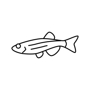 recommend clip art: danios fish line icon vector illustration