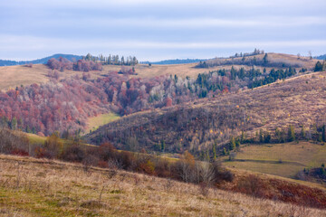 countryside scenery in autumn. forested hills on a sunny weather with cloudy sky. calm nature landscape in fall colors