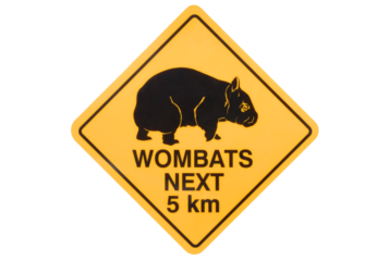 Australian Wombats warning sign isolated transparent background photo PNG file