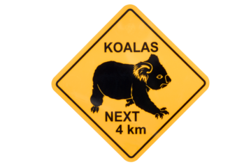 Australian Koala warning sign isolated transparent background photo PNG file
