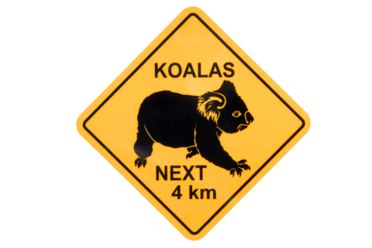 Australian Koala warning sign isolated transparent background photo PNG file