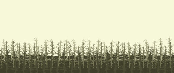 Pine forest scenery vector illustration, pine wood, coniferous tree, suitable for background, desktop background, banner, nature banner, game background, wallpaper.