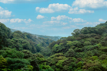 Fototapeta na wymiar 新緑が美しい山の景色