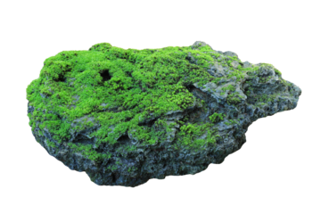 Rock covered in green moss isolated on transparent background