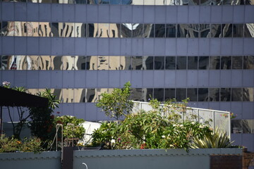 Aerial City Urban Buildings Skyline Daytime Clear  city streets below