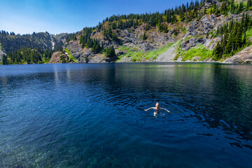 Fototapeta na wymiar Adventurous athletic woman swimming in an alpine lake on a beautiful sunny day in the Pacific Northwest.