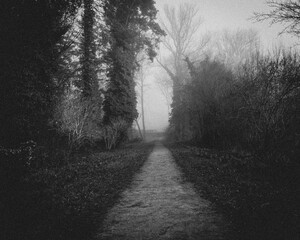 foggy morning in the city park. black and white photo with grain. antiqued photo