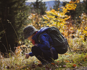a boy on a mountain trip with a backpack, looks at the plants during a break